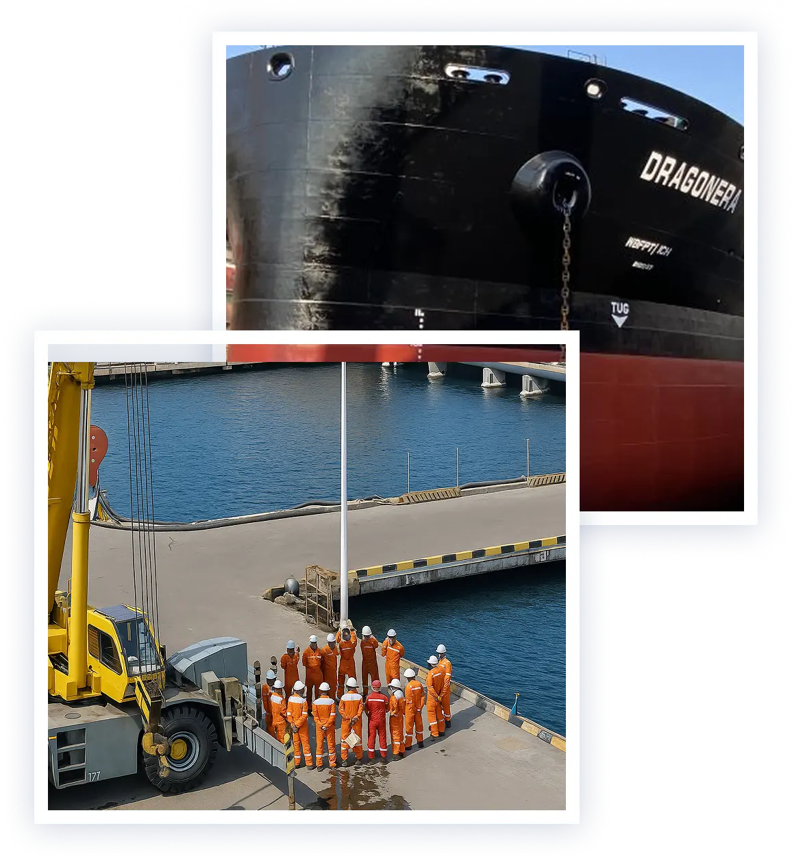 grouped images about seven seas